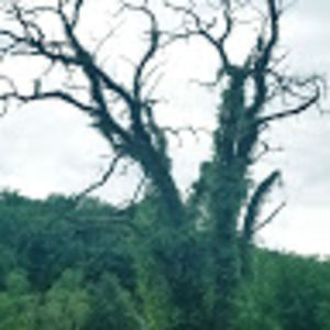 Meet your Posher, Jen